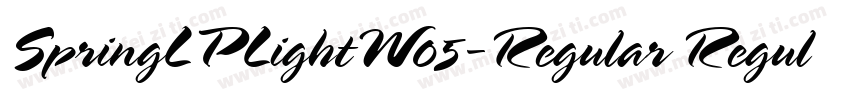 SpringLPLightW05-Regular Regular字体转换